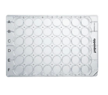 德國(guó)艾本德(Eppendorf)Cell Culture Plates,48-Well,無(wú)菌無(wú)熱原,無(wú)RNase和DNase,無(wú)人類(lèi)和細(xì)菌DNA,無(wú)細(xì)胞毒素,未處理,0.5mL,60塊,獨(dú)立包裝