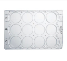 德國艾本德(Eppendorf)Cell Culture Plates,12-Well,無菌無熱原,無RNase和DNase,無人類和細(xì)菌DNA,無細(xì)胞毒素,未處理,2mL,60塊,獨立包裝