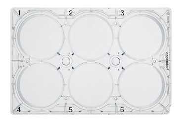 德國(guó)艾本德Eppendorf CCCadvanced? FN1,6-well,帶蓋,平底,無(wú)菌,無(wú)熱原,無(wú)RNase和DNase,無(wú)人類(lèi)和細(xì)菌 DNA,無(wú)細(xì)胞毒素